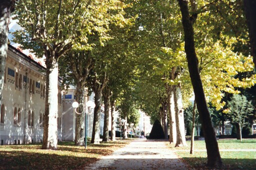 View of the Parc des Sources (Park of the Springs)